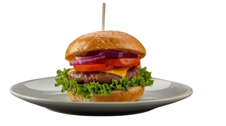 Hamburger All Dressed